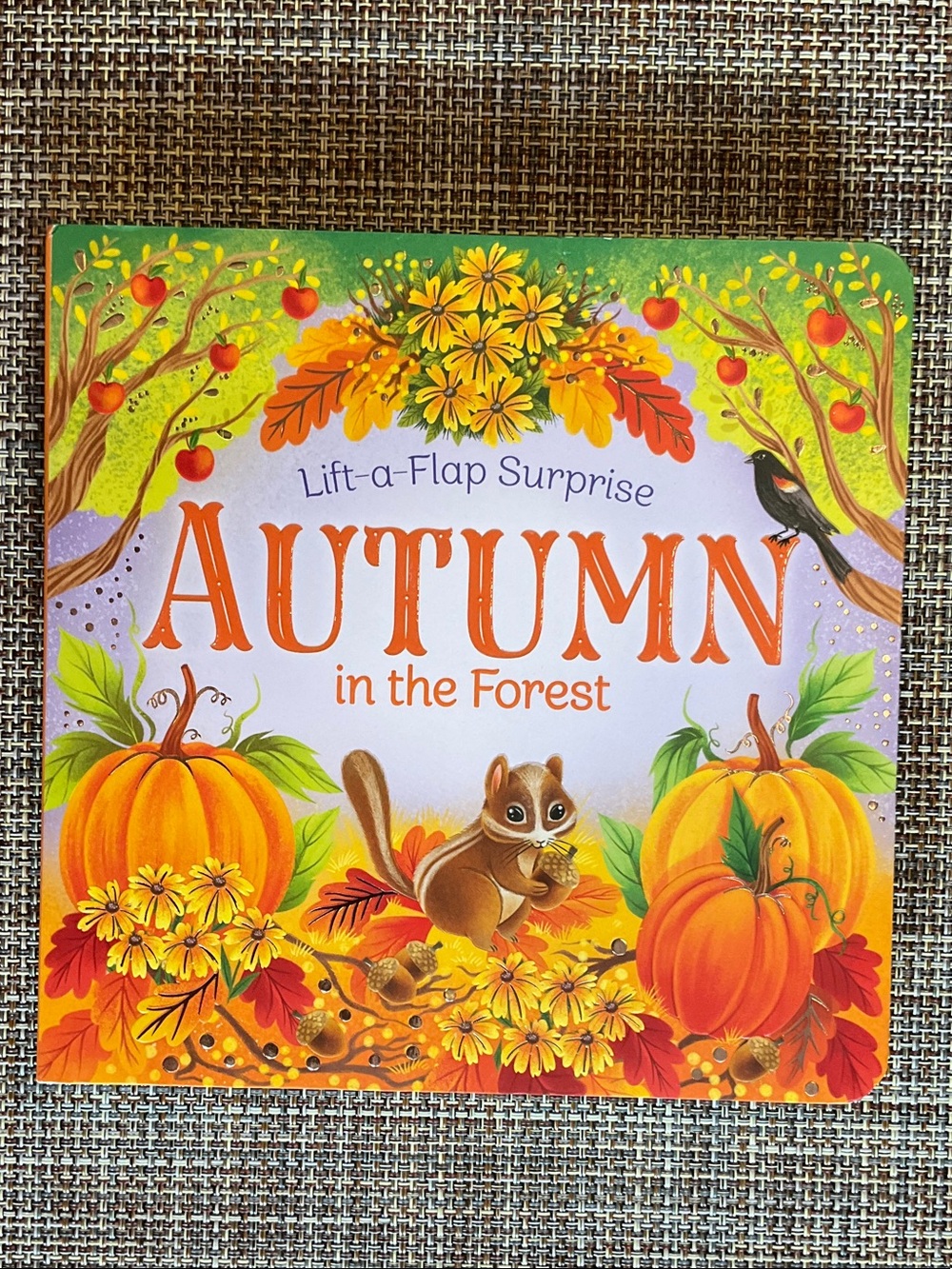 Autumn in the Forest Lift-a-Flap Board book NWT